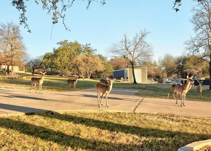Holiday home Spacious House In Roundrock